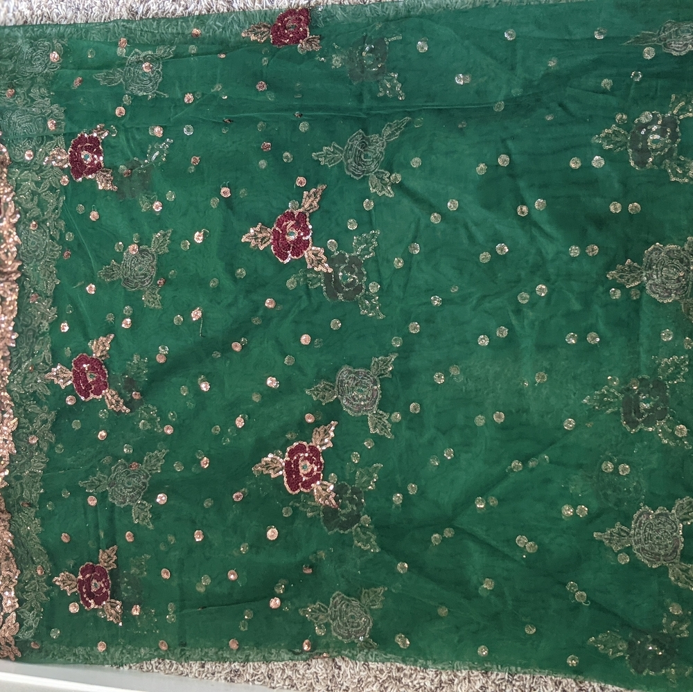 Saree - Picture 5 of 10
